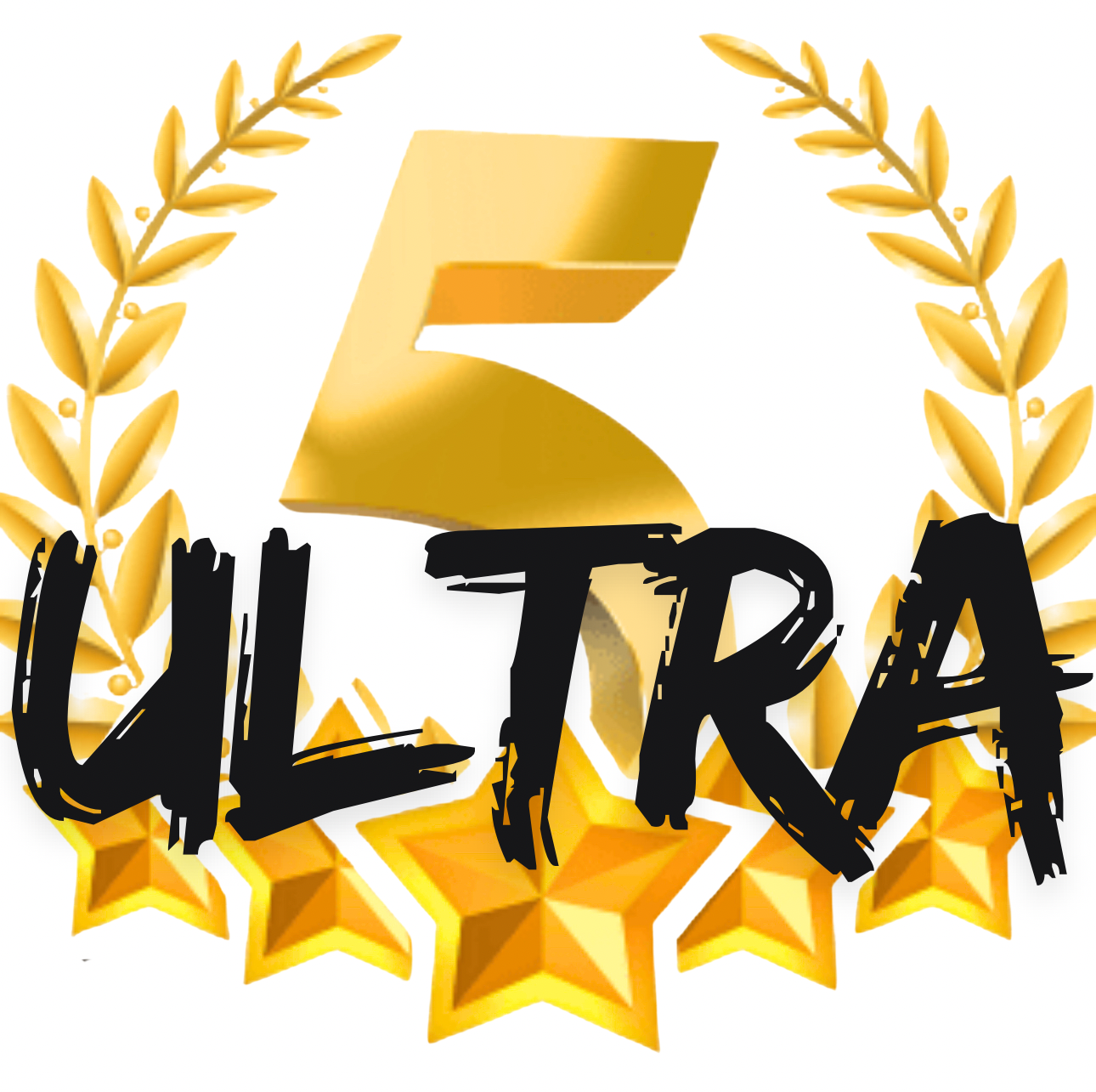 5 star ULTRA package 1m1c  (IT support & website maintenance)