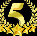 5 star package 1M  (IT support & website maintenance)