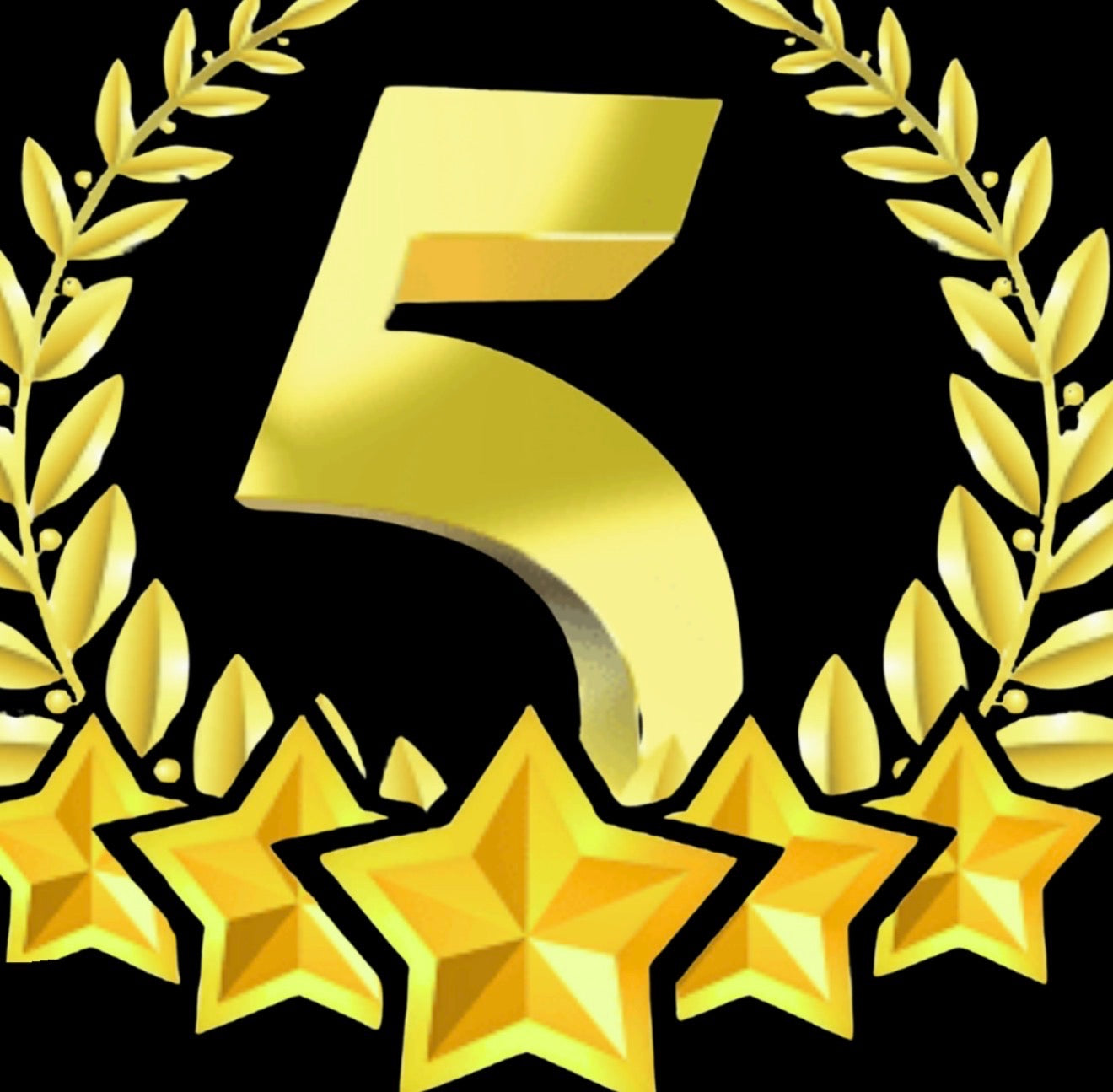 5 star package 12M  (IT support & website maintenance)